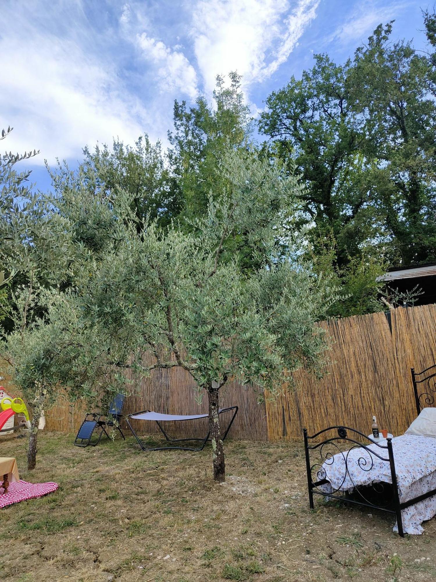 Casale Dei Ricordi Bed & Breakfast Arce Luaran gambar